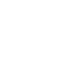 Logo Black Crows