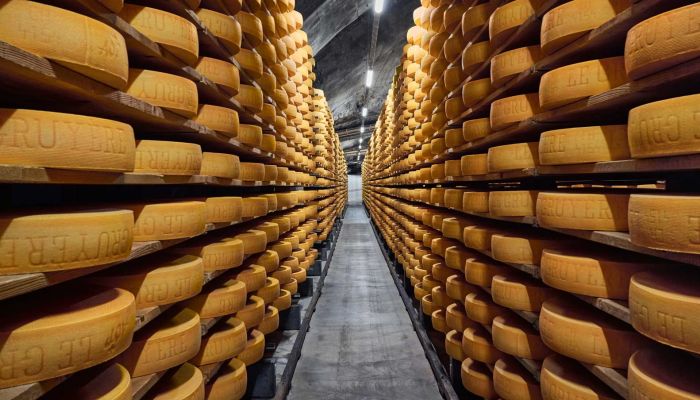 Voyage culinaire – Le fromage de Gruyère - Affinage